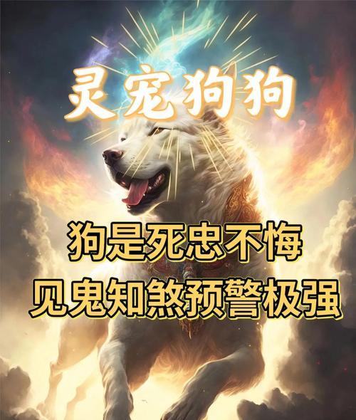 问道宠物保持满忠诚的方法是什么？忠诚度下降的原因是什么？