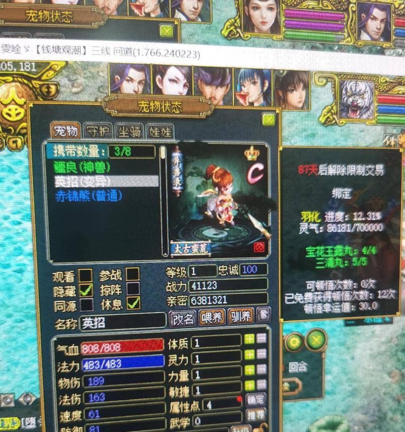 宠物灵魂问道玩法介绍？如何正确操作宠物灵魂问道？
