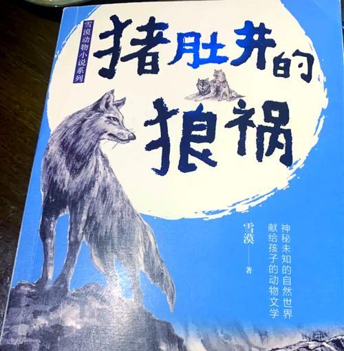 孤独沙漠狼战斗技巧是什么？
