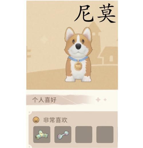 宠物抗性提升的技巧有哪些？