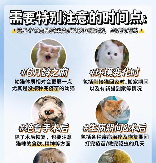 宠物抗性提升的技巧有哪些？