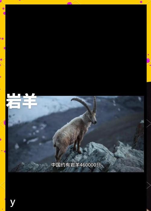 《我的门派岩羊打法详解》（如何在游戏中完美操作）