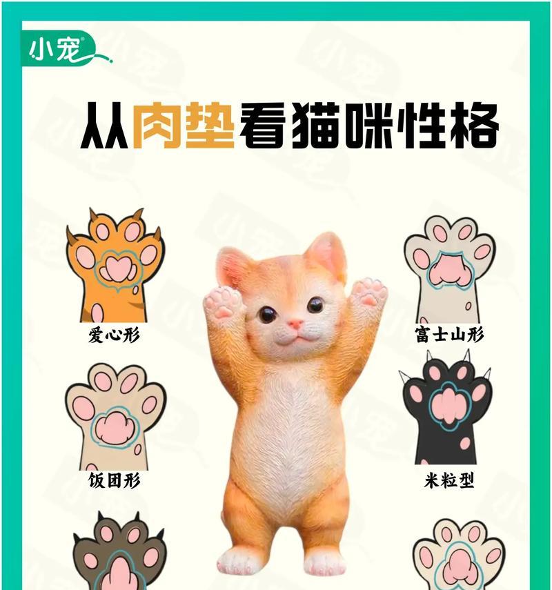 排位猫爪获取途径有哪些？