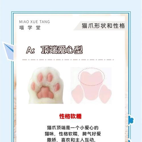 排位猫爪获取途径有哪些？