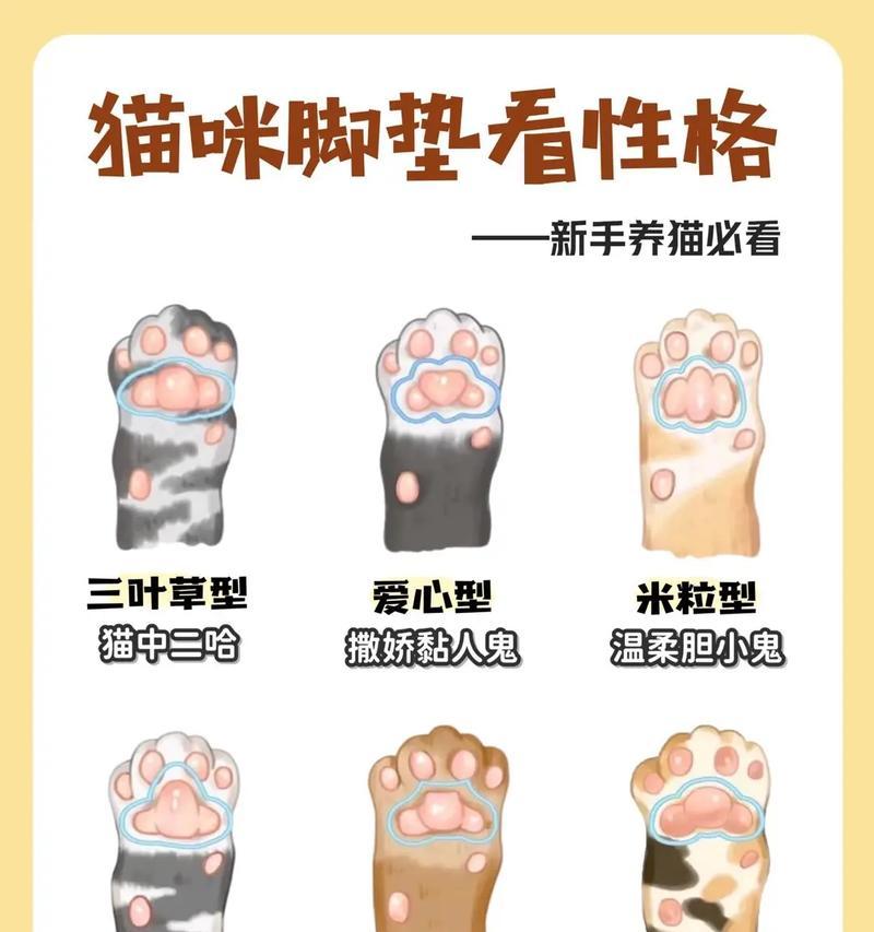 排位猫爪获取途径有哪些？