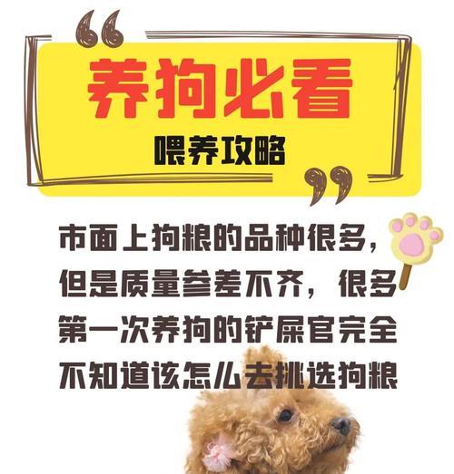 带狗粮效率提升方法是什么？