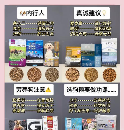带狗粮效率提升方法是什么？